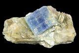 Vibrant Blue Kyanite Crystal In Quartz - Brazil #118865-1